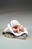 Armani_Calla Lily Baby