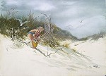 Carolyn Blish
