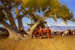 Cottonwood Dreams By Bill Anton Giclee On Canvas  Signed & Numbered by Bill Anton