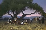 Twilight At Cottonwood Camp By Bill Anton Giclee On Canvas  Artist Proof by Bill Anton