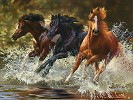 Splash by Bonnie Marris