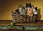 A Bushel And A Peck Limited Edition Print by Braldt Braldt