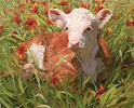 Under The Indian Blanket By Bruce Greene Giclee On Canvas  Signed & Numbered by Bruce Greene