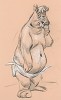 Chuck Jones_Junyer Bear