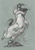 Sam Sheepdog by Chuck Jones