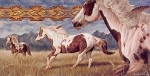 David C.  Behrens&nbsp;WIND WEAVER 