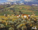 David  Wade&nbsp;SPRING AT FOSSIL BUTTE 