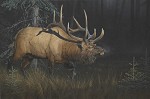 Sun Struck Limited Edition Canvas by Daniel Smith