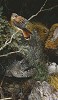Riverbank Reflections Smallwork Canvas Edition by Daniel Smith