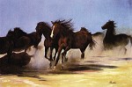 Gamboa_Wild Horses