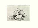 Gamboa_Three Pears