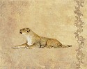 Gamboa_Wild Lioness