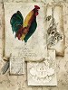 Gamboa_French Country I
