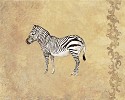 Wild Zebra by Gamboa
