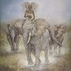Matriarch Of Africa by Gamboa