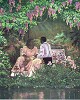 The Proposal by Gamboa