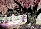 Summer Lane - Original