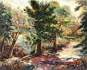 Forest Path by Gamboa