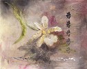 June Orchid by Gamboa