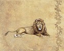 Wild Lion by Gamboa
