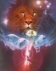John Alvin&nbsp;Narnia