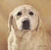 Maggie Portrait Of A Friend Limited Edition Print by John Weiss