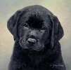 Heart And Soul Limited Edition Print by John Weiss