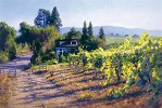 My Sonoma Limited Edition Canvas by June Carey