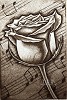 Sophisticated Lady by Keith Mallett