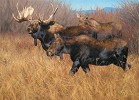 Some Guys Have All The Luck By Kyle Sims Giclee On Canvas  Artist Proof by Kyle Sims