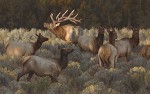 Social Hour By Kyle Sims Giclee On Canvas  Signed & Numbered by Kyle Sims