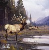 Lord Of Trinchera By Luke Frazier Print  Signed & Numbered by Luke  Frazier