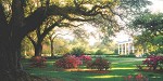 Southern Hospitality By Larry Dyke Print  Signed & Numbered by Larry Dyke