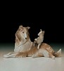 Collie Dog With Pup 1997-00 by Lladro
