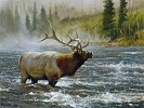 The Crossing By Matthew Hillier Print  Signed & Numbered by Matthew Hillier