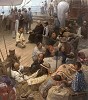 Journey Of Hope And Prosperity Masterwork Canvas Edition by Mian Situ