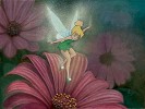 Morning Blossoms by Mike Kupka