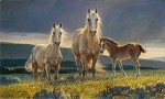Golden Glory By Nancy Glazier Print  Signed & Numbered by Nancy Glazier