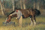 Long Time Friends By Nancy Glazier Giclee On Canvas  Artist Proof by Nancy Glazier