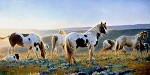 Nancy Glazier&nbsp;Welcome the Dawn by Nancy Glazier Giclee on Canvas Signed & Numbered