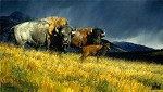 Stormy By Nancy Glazier Giclee On Canvas  Artist Proof by Nancy Glazier
