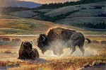 Eye Of The Storm By Nancy Glazier Canvas  Signed & Numbered by Nancy Glazier