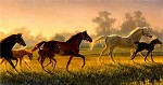 A Brand New Hope By Nancy Glazier Giclee On Canvas  Grande Edition by Nancy Glazier