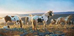 Welcome The Dawn By Nancy Glazier Giclee On Canvas  Signed & Numbered by Nancy Glazier