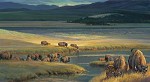 Buffalo Valley By Nancy Glazier Giclee On Canvas  Signed & Numbered by Nancy Glazier