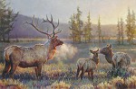 Morning By Nancy Glazier Giclee On Canvas  Artist Proof by Nancy Glazier