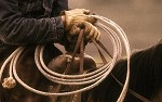 Norm Clasen_Working Hands By Norm Clasen Giclee On Canvas  Artist Proof