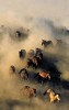 Heading Down By Norm Clasen Giclee On Canvas  Grande Edition by Norm Clasen