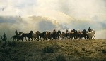 Dream Herd By Norm Clasen Giclee On Paper  Artist Proof by Norm Clasen