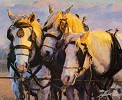 Ron S.  Riddick&nbsp;DAWNS EARLY LIGHT